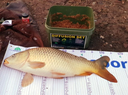 SET rybrsky meter (130*15) + uvoova hikov