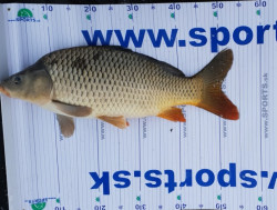 SET rybrsky meter (130*15) + uvoova hikov