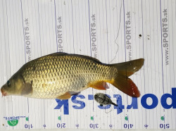 SET rybrsky meter (100*25) + uvoova hikov