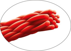 Pleten nra CLIMAX Carat 12 - fluo lt / 135m