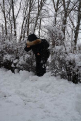 Geoff Anderson bunda- USQUE Down Parka- black