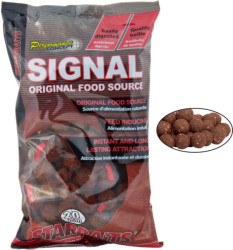 Boilies Starbaits Performance Concept 20mm/1kg