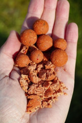 Boilies Radical Smashed Fish 1kg