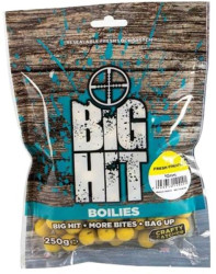 Boilies Big Hit Crafty Catcher 10mm/250g