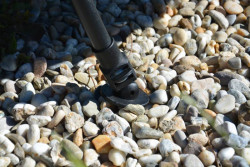 Lehtko so iestimi nohami a vankom