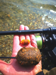 Hotov nadvzec FAITH Basic Rig bez protihrotu 20cm 2ks