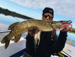 Mikina s kapuc�ou Sportex Raglan Hoodie - antracitov�