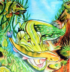 Rybrsky dres maovan uka SPORTS