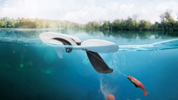 Rybrsky plvajci dron PowerDolphin PowerVision