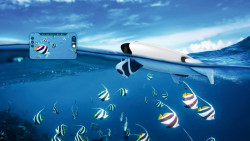 Rybrsky plvajci dron PowerDolphin PowerVision
