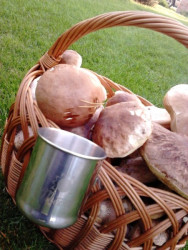 Rybrsky nerezov hrnek- pr. 75mm- objem 270ml