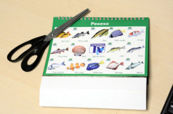 Rybrsky kalendr s receptami na rok 2019