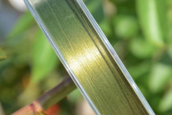 CLIMAX Laser Braid olive - nra 135m