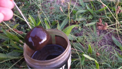 Monster Cat pelety na sumce- 65 x 35mm- 4ks